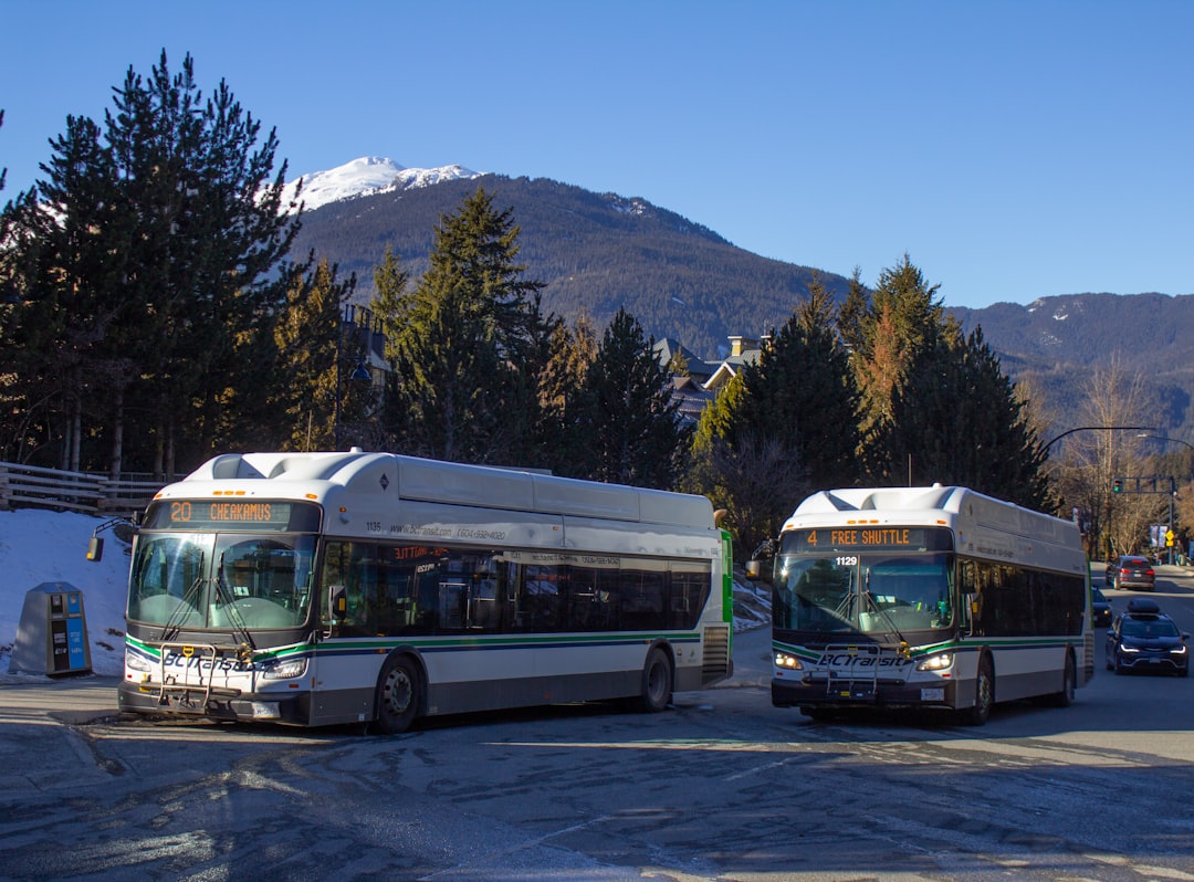 Serwis autobusów turystycznych – na co zwracać uwagę?